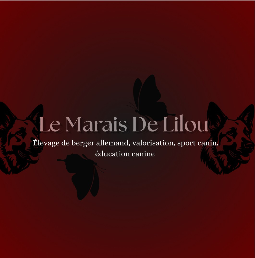du marais de Lilou